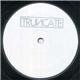 Truncate - Concentrate / Focus